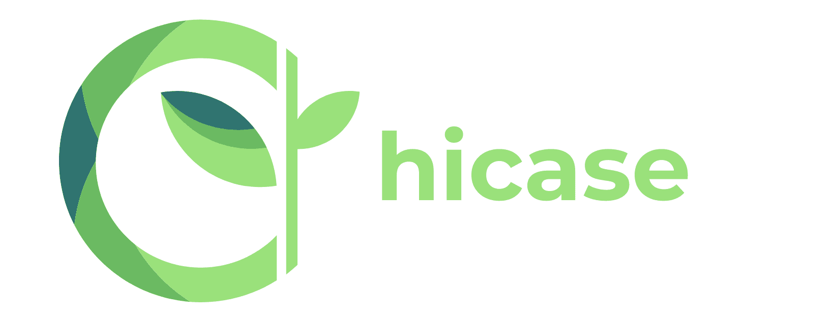 hicase.de